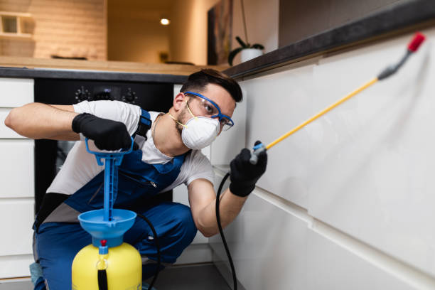 Trusted Saegertown, PA Pest Control Experts