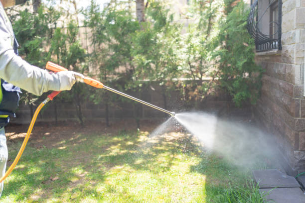 Best Mosquito Control Services  in Saegertown, PA