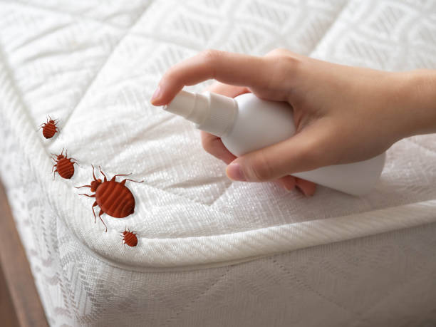 Best Best Pest Control Companies  in Saegertown, PA